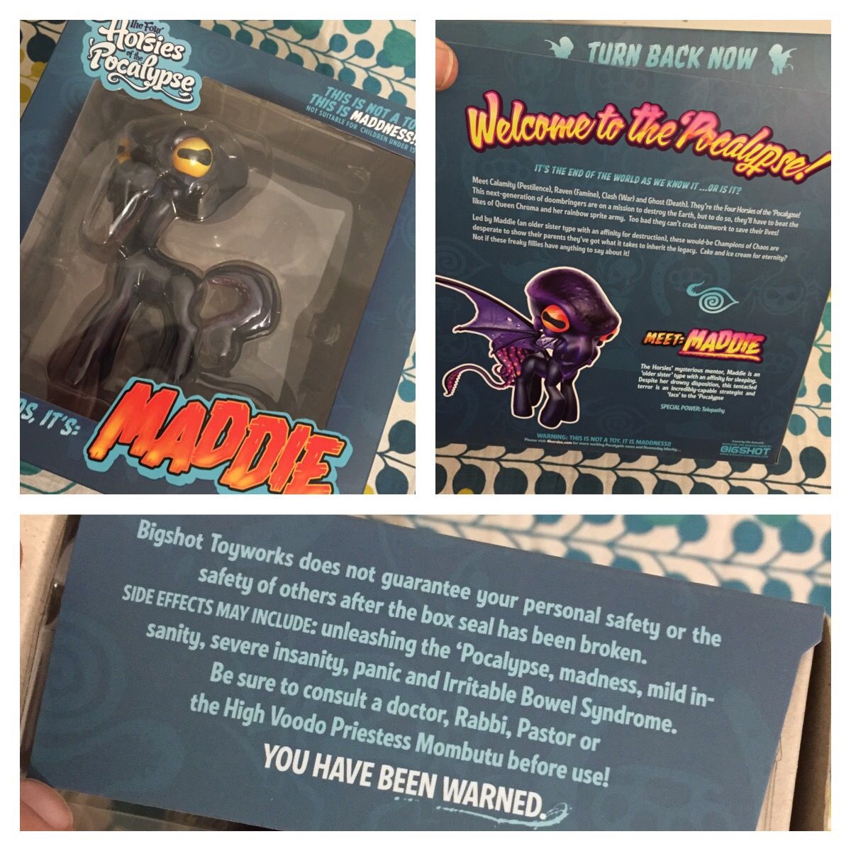 Little Maddie Kickstarter Box