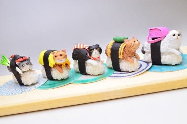 sushi cats