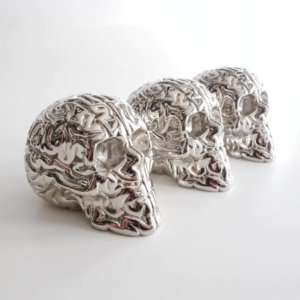 Emilio Garcia Chrome Skull Brains