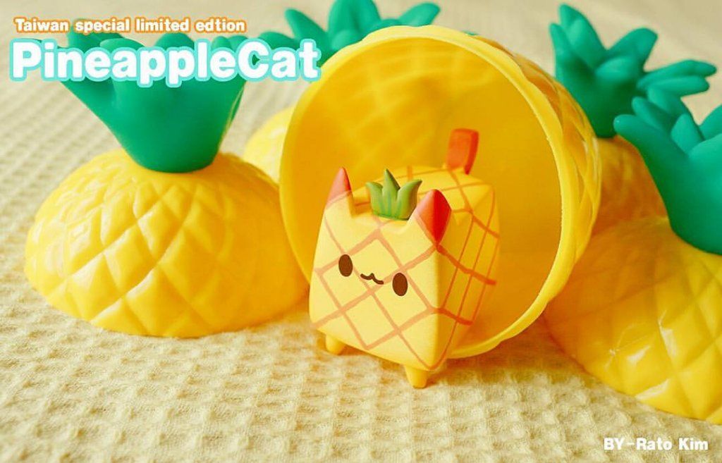 pineapple-cat-by-rato-kim-ttf-2016