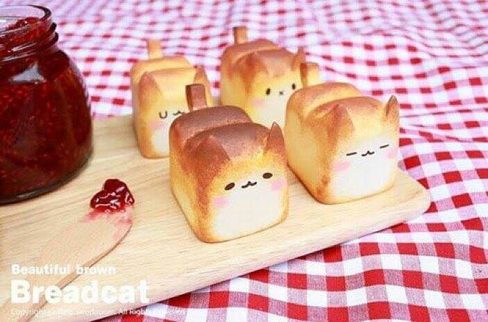 breadcat