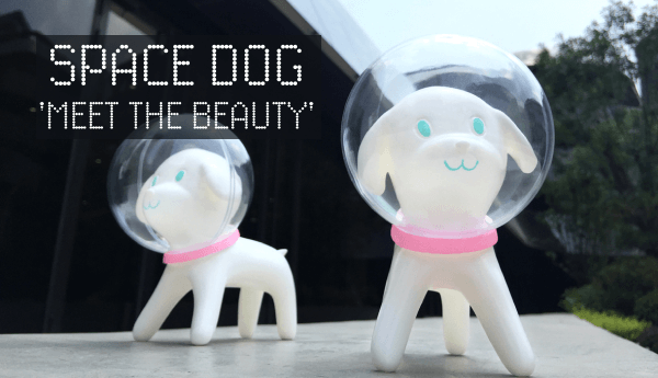 space-dog-Meet-the-beauty-han-ning-6HL6